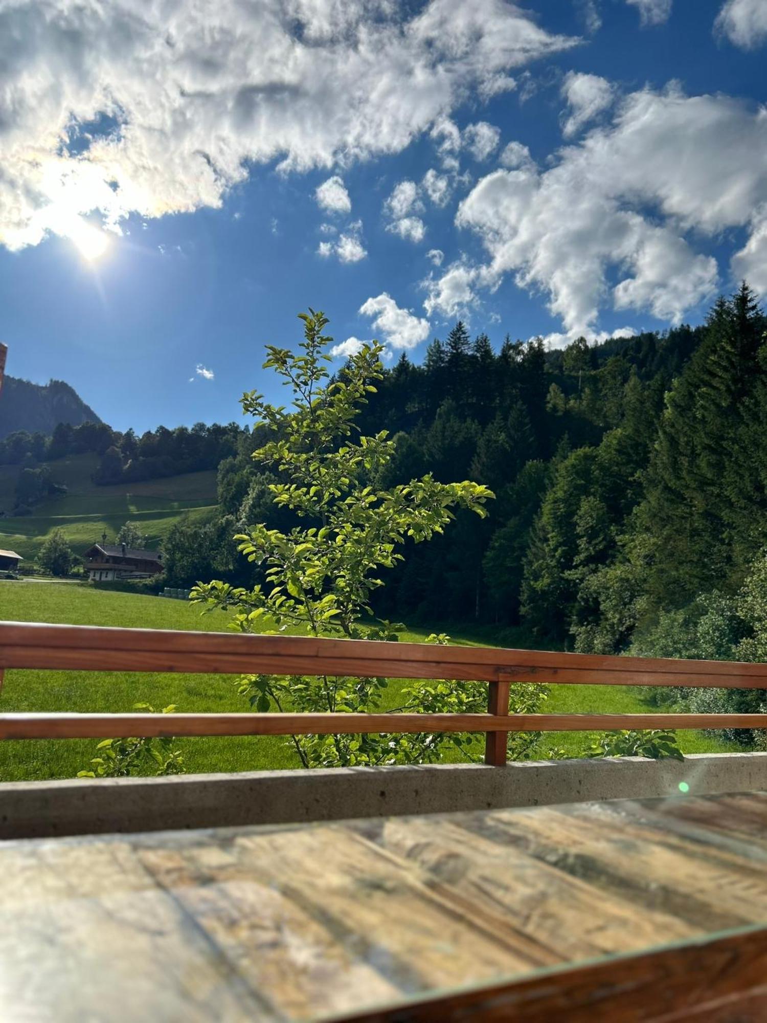 Bergblick Apartment Вальд  Экстерьер фото